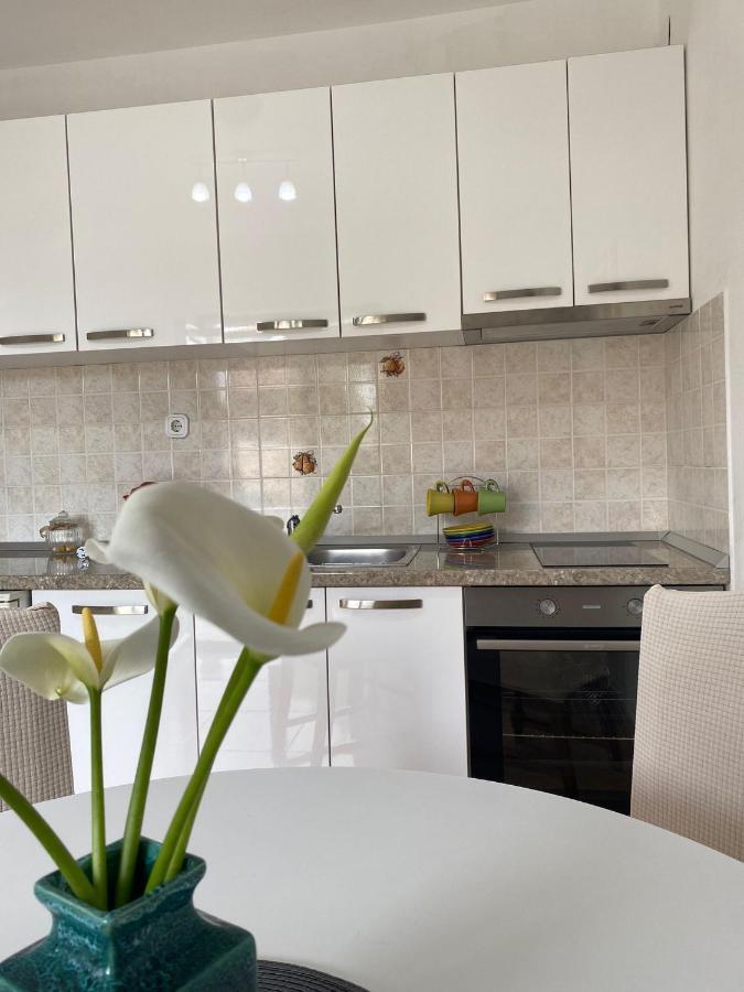 Studio Apartment Novak Čilipi Dış mekan fotoğraf